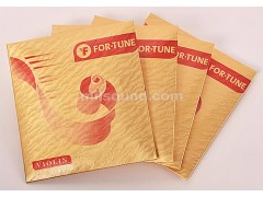 FOR-TUNE 4/4 Nylon Violin Strings